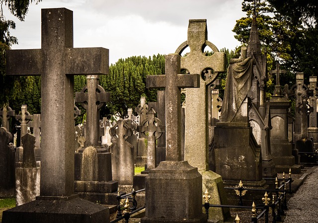 Moving Company Dublin 10