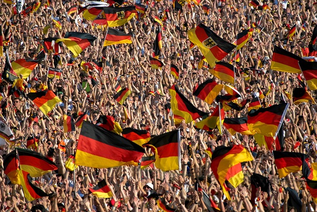 Moving Company Ireland to Germany