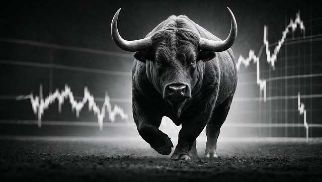 storage dublin prices