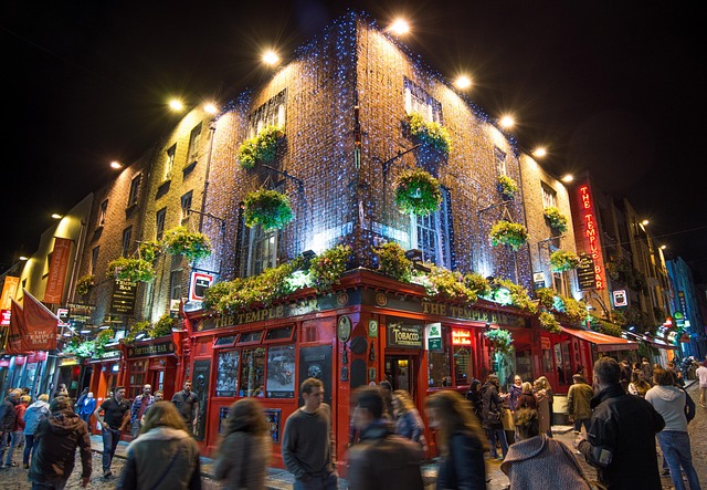 dublin moving companies