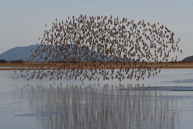 dublin-moving-companies-640x480-67375213.jpeg