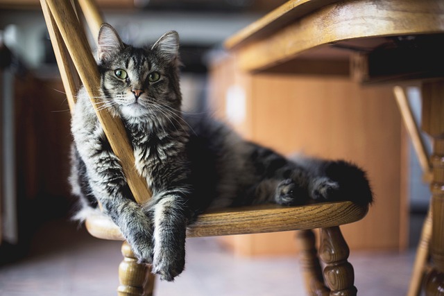 furniture disposal dublin