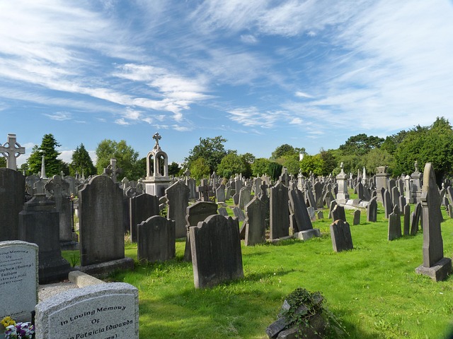 Moving Company Clontarf Dublin 3