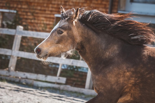 Moving Company Dun Laoghaire Dublin 18