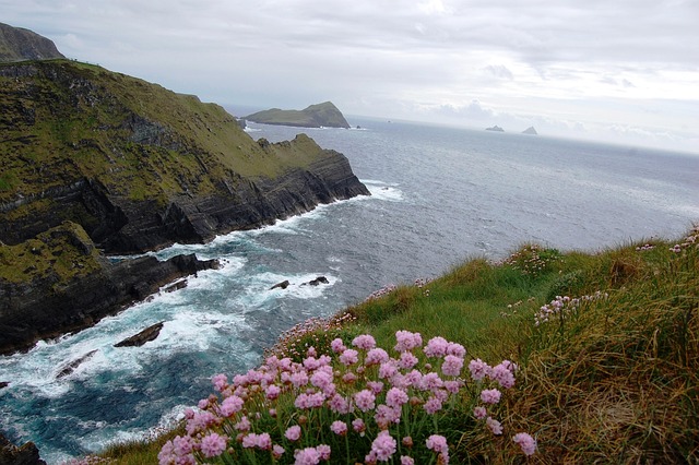 Moving Company Ireland to Germany