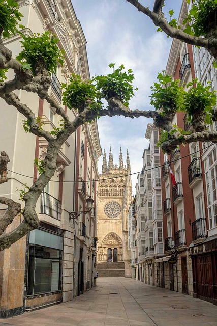 Moving Company Ireland to Spain