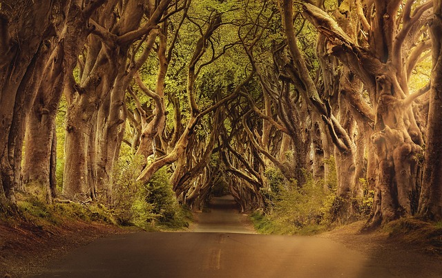 moving-company-ireland-to-usa-640x480-60664099.jpeg