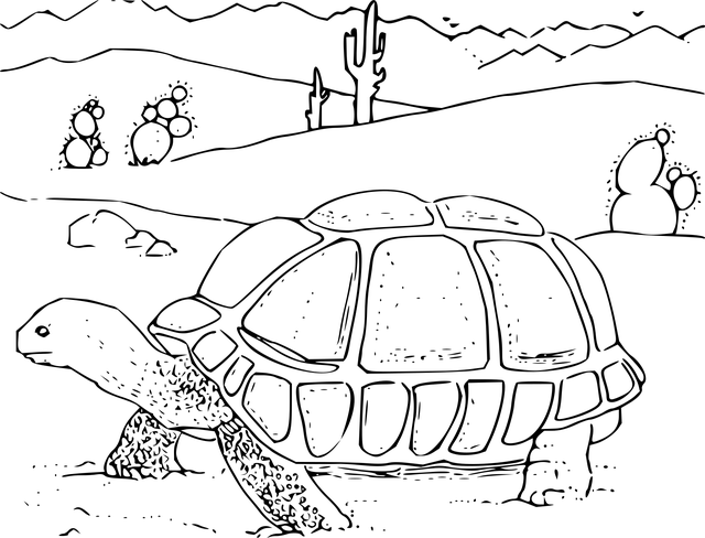 Moving Company Leixlip Kildare