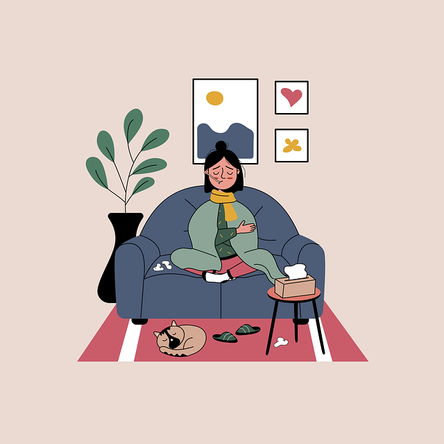 Sofa Removal Dublin