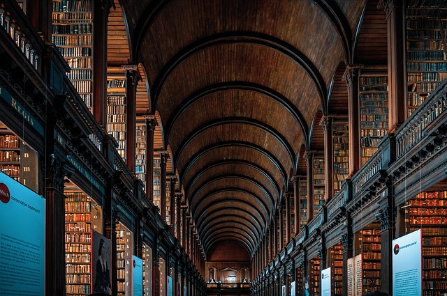 storage rental dublin
