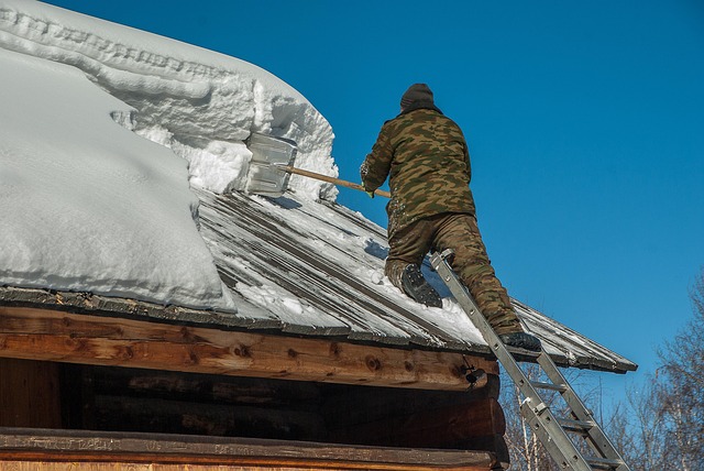 Expert Removals