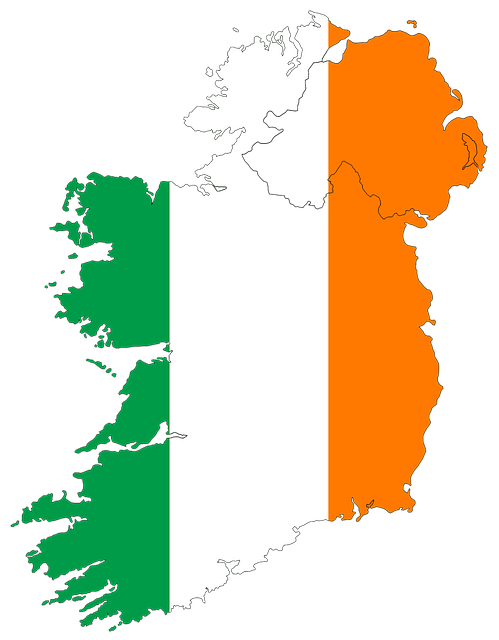 Moving Company Dublin 8