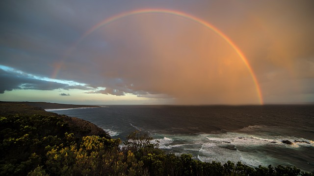 moving-company-ireland-to-australia-640x480-59147234.jpeg